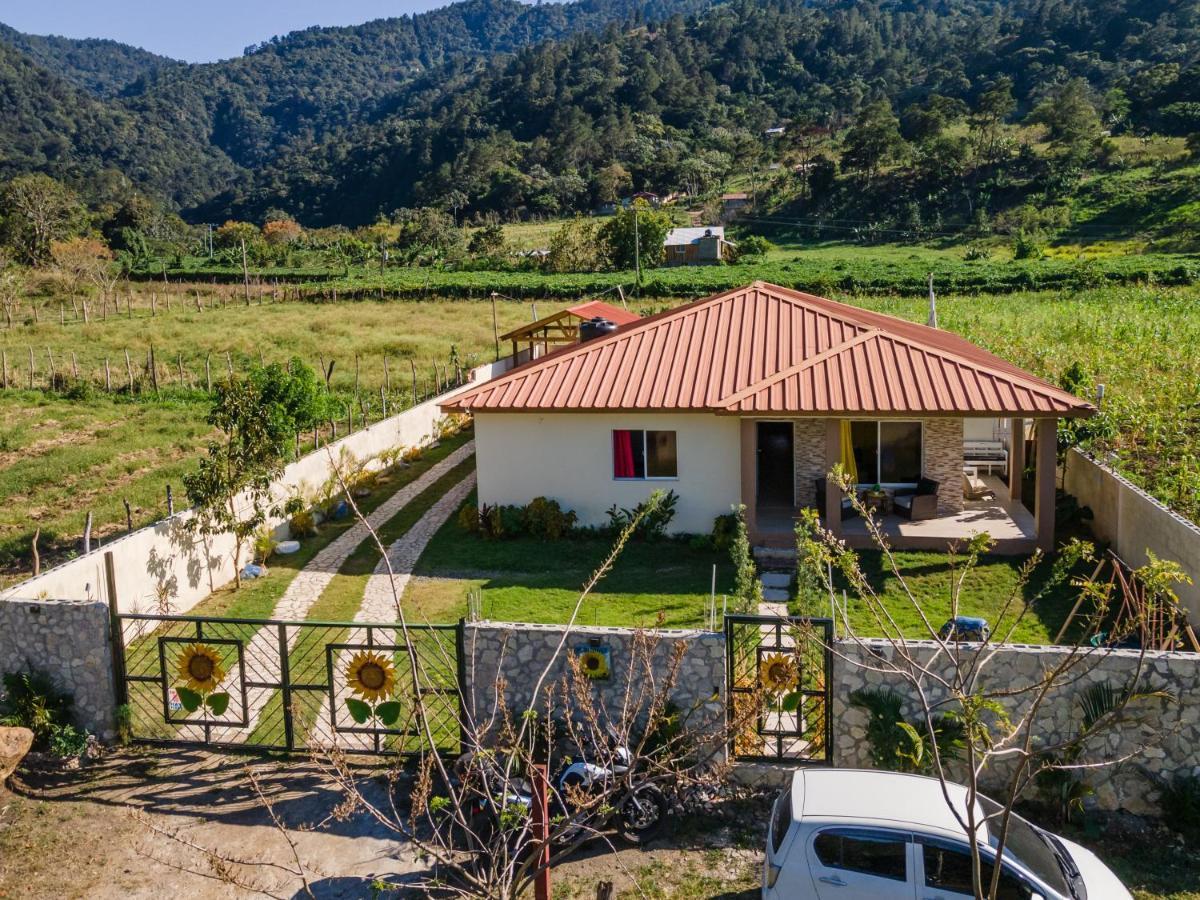 Sunflower Village Villa Girasoles 자라바코아 외부 사진